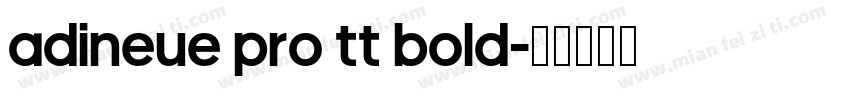 adineue PRO TT Bold字体转换